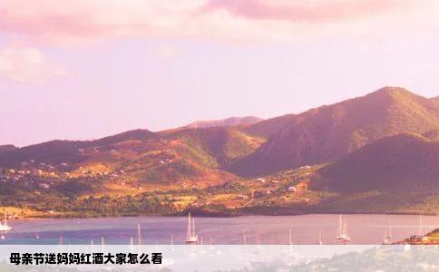 母亲节送妈妈红酒大家怎么看