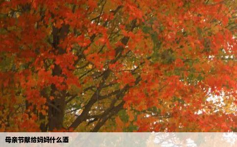 母亲节献给妈妈什么酒
