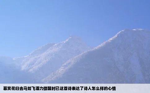 暮赏花归去马如飞酒力微醒时已这首诗表达了诗人怎么样的心情