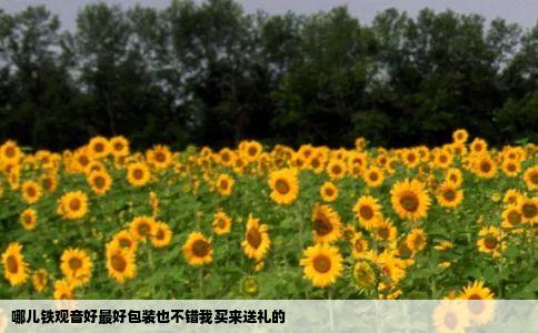 哪儿铁观音好最好包装也不错我买来送礼的