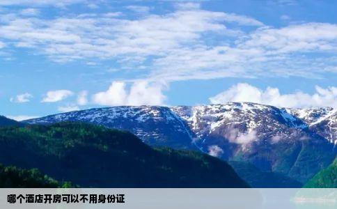 哪个酒店开房可以不用身份证