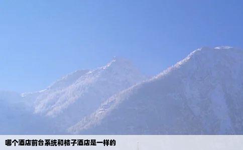 哪个酒店前台系统和桔子酒店是一样的