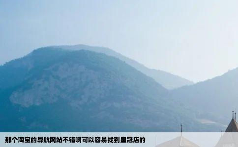 那个淘宝的导航网站不错啊可以容易找到皇冠店的