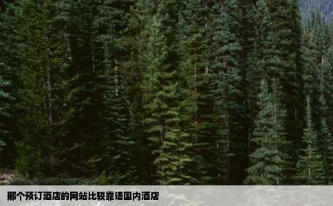 那个预订酒店的网站比较靠谱国内酒店