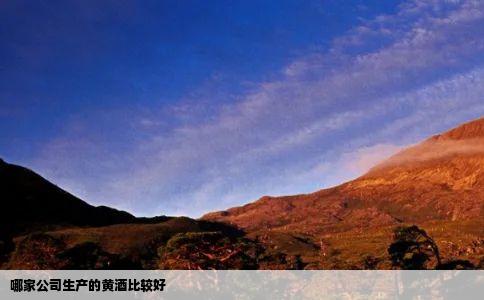 哪家公司生产的黄酒比较好