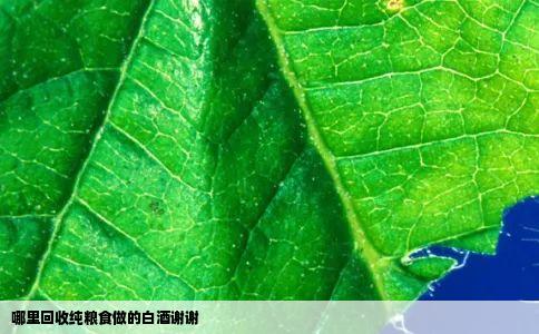 哪里回收纯粮食做的白酒谢谢