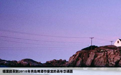 哪里能买到2010年青岛啤酒节便宜的嘉年华通票