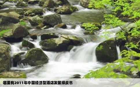 哪里有2011年中国经济型酒店发展绿皮书