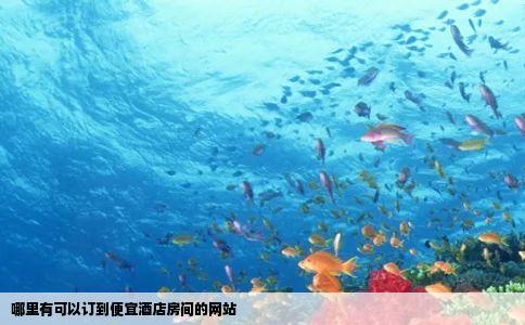 哪里有可以订到便宜酒店房间的网站