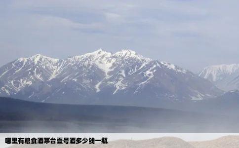 哪里有粮食酒茅台壹号酒多少钱一瓶