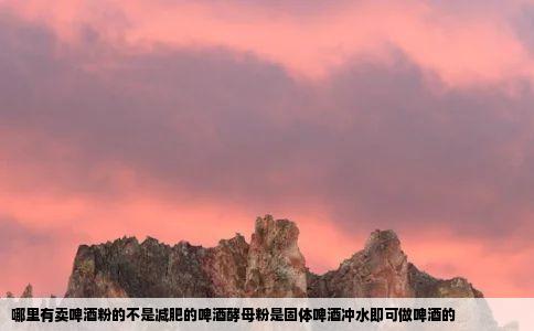 哪里有卖啤酒粉的不是减肥的啤酒酵母粉是固体啤酒冲水即可做啤酒的