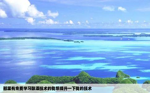 那里有免费学习酿酒技术的我想提升一下我的技术