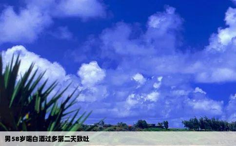 男58岁喝白酒过多第二天致吐