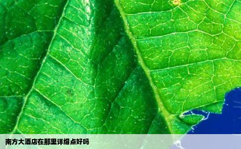 南方大酒店在那里详细点好吗