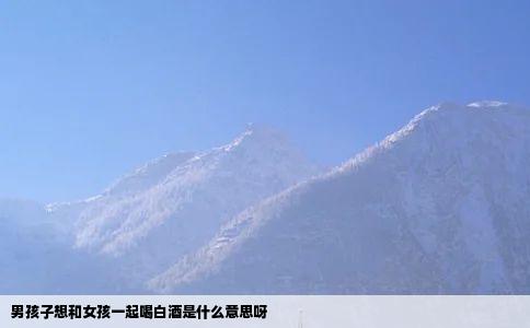 男孩子想和女孩一起喝白酒是什么意思呀