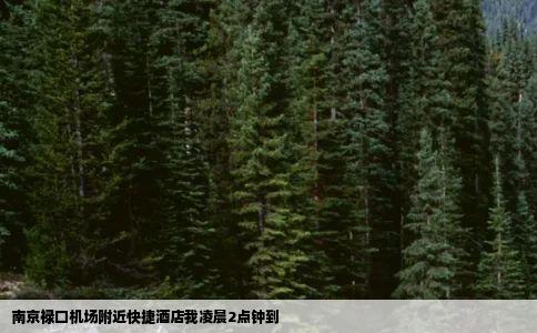 南京禄口机场附近快捷酒店我凌晨2点钟到