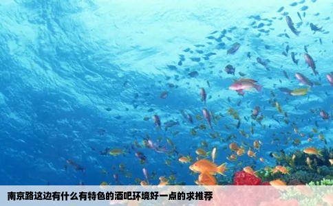 南京路这边有什么有特色的酒吧环境好一点的求推荐