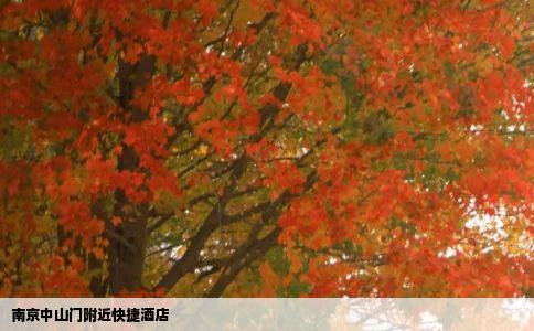 南京中山门附近快捷酒店