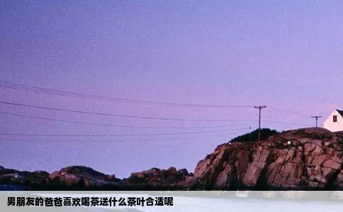 男朋友的爸爸喜欢喝茶送什么茶叶合适呢