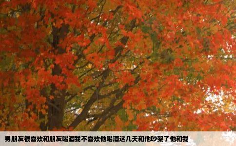男朋友很喜欢和朋友喝酒我不喜欢他喝酒这几天和他吵架了他和我