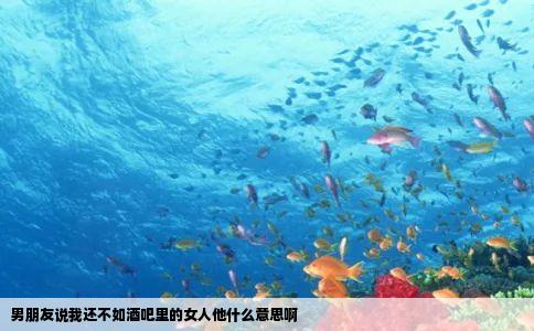 男朋友说我还不如酒吧里的女人他什么意思啊