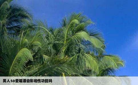 男人50爱喝酒会影响性功能吗