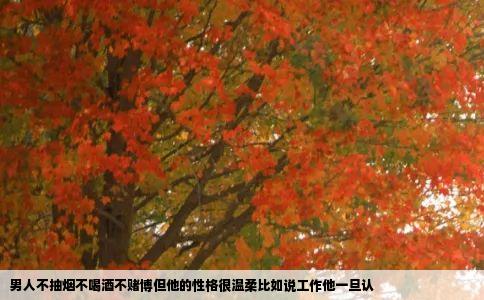 男人不抽烟不喝酒不赌博但他的性格很温柔比如说工作他一旦认