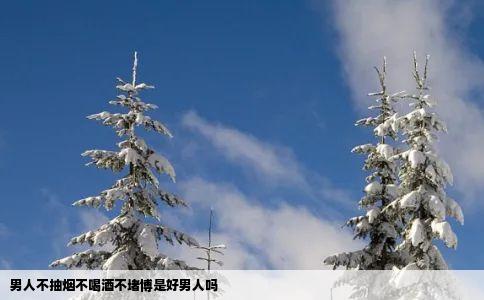男人不抽烟不喝酒不堵博是好男人吗