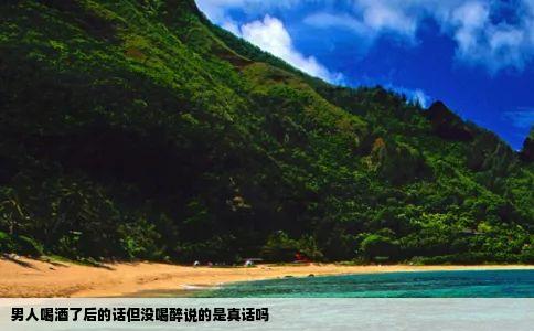 男人喝酒了后的话但没喝醉说的是真话吗