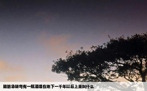 脑筋急转弯有一瓶酒埋在地下一千年以后上来叫什么