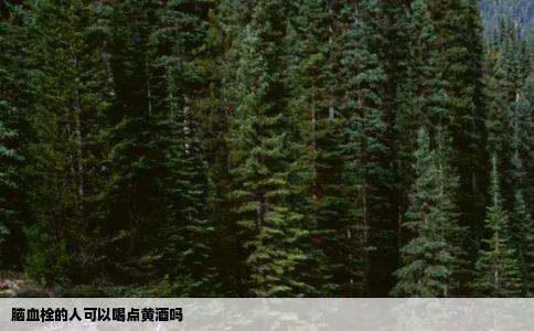 脑血栓的人可以喝点黄酒吗