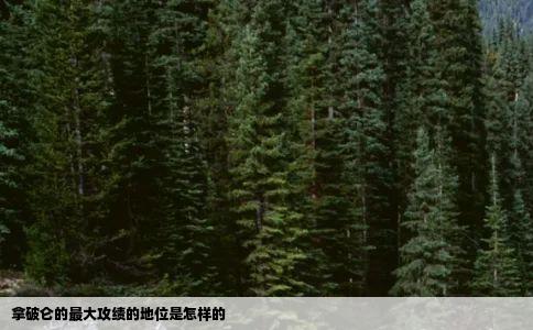 拿破仑的最大攻绩的地位是怎样的