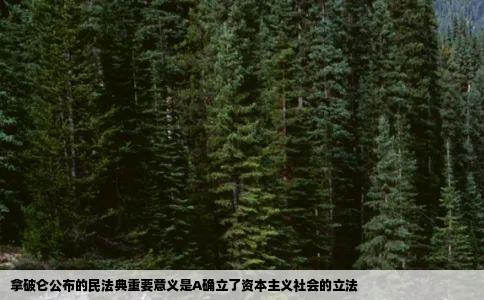 拿破仑公布的民法典重要意义是A确立了资本主义社会的立法