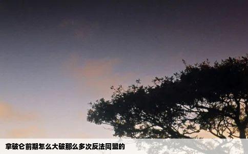 拿破仑前期怎么大破那么多次反法同盟的