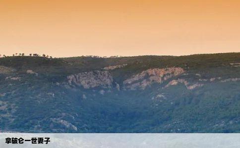 拿破仑一世妻子