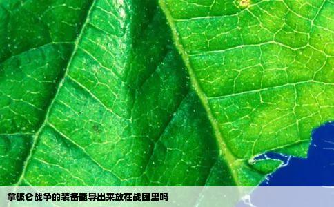 拿破仑战争的装备能导出来放在战团里吗