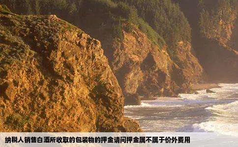 纳税人销售白酒所收取的包装物的押金请问押金属不属于价外费用
