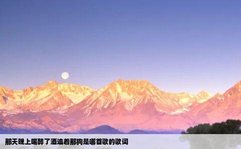 那天晚上喝醉了酒追着那狗是哪首歌的歌词