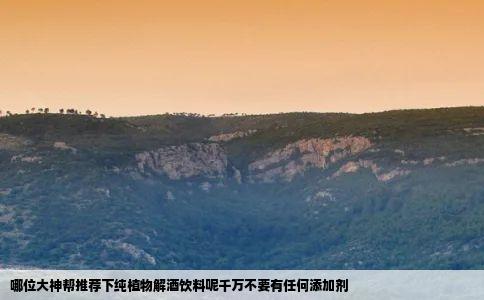 哪位大神帮推荐下纯植物解酒饮料呢千万不要有任何添加剂