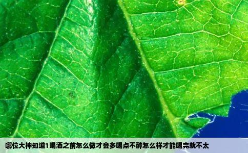 哪位大神知道1喝酒之前怎么做才会多喝点不醉怎么样才能喝完就不太