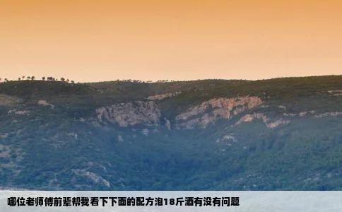 哪位老师傅前辈帮我看下下面的配方泡18斤酒有没有问题