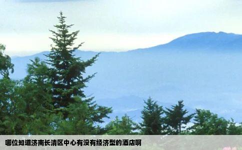哪位知道济南长清区中心有没有经济型的酒店啊