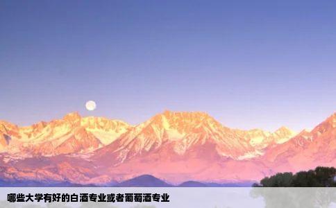 哪些大学有好的白酒专业或者葡萄酒专业