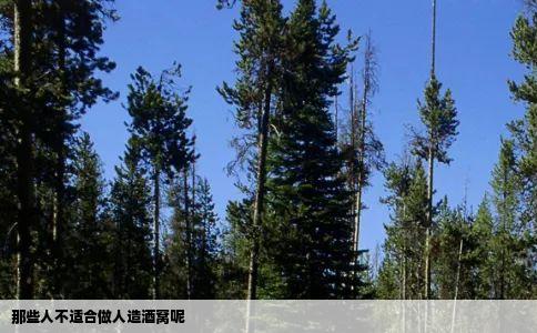 那些人不适合做人造酒窝呢