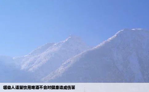 哪些人适量饮用啤酒不会对健康造成伤害