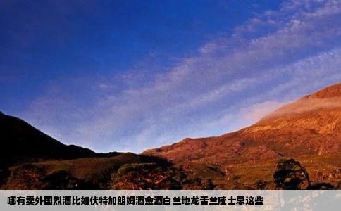 哪有卖外国烈酒比如伏特加朗姆酒金酒白兰地龙舌兰威士忌这些