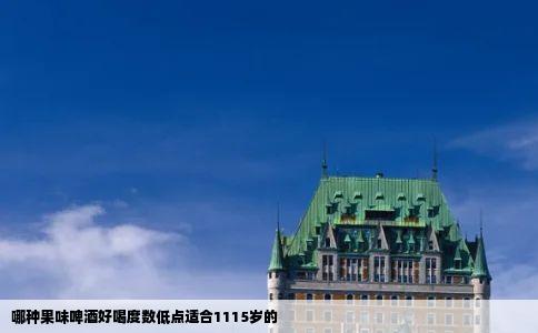 哪种果味啤酒好喝度数低点适合1115岁的