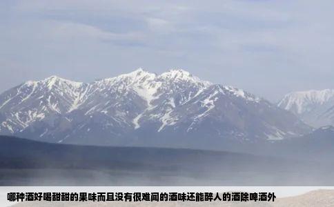 哪种酒好喝甜甜的果味而且没有很难闻的酒味还能醉人的酒除啤酒外