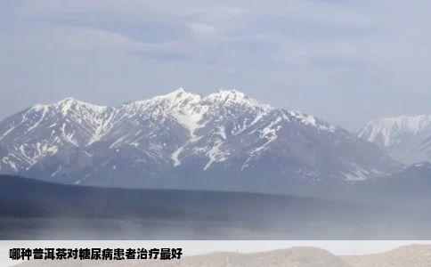 哪种普洱茶对糖尿病患者治疗最好