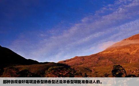 那种铁观音好喝呢清香型熟香型还是浓香型呢我准备送人的